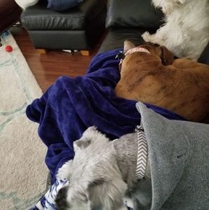 Meet your Posher, Tamela